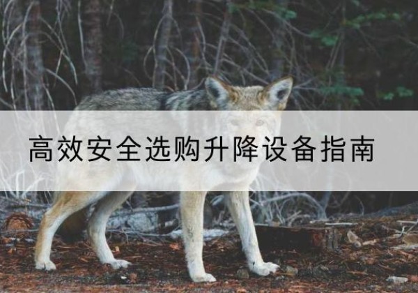 陕西升降货梯厂家推荐-*安全选购升降设备指南