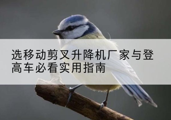 陕西电动升降机厂家-选移动剪叉升降机厂家与登高车必看实用指南